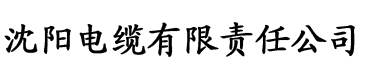 天美传媒苏清歌电缆厂logo